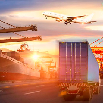 What type of Transport Company do I need?